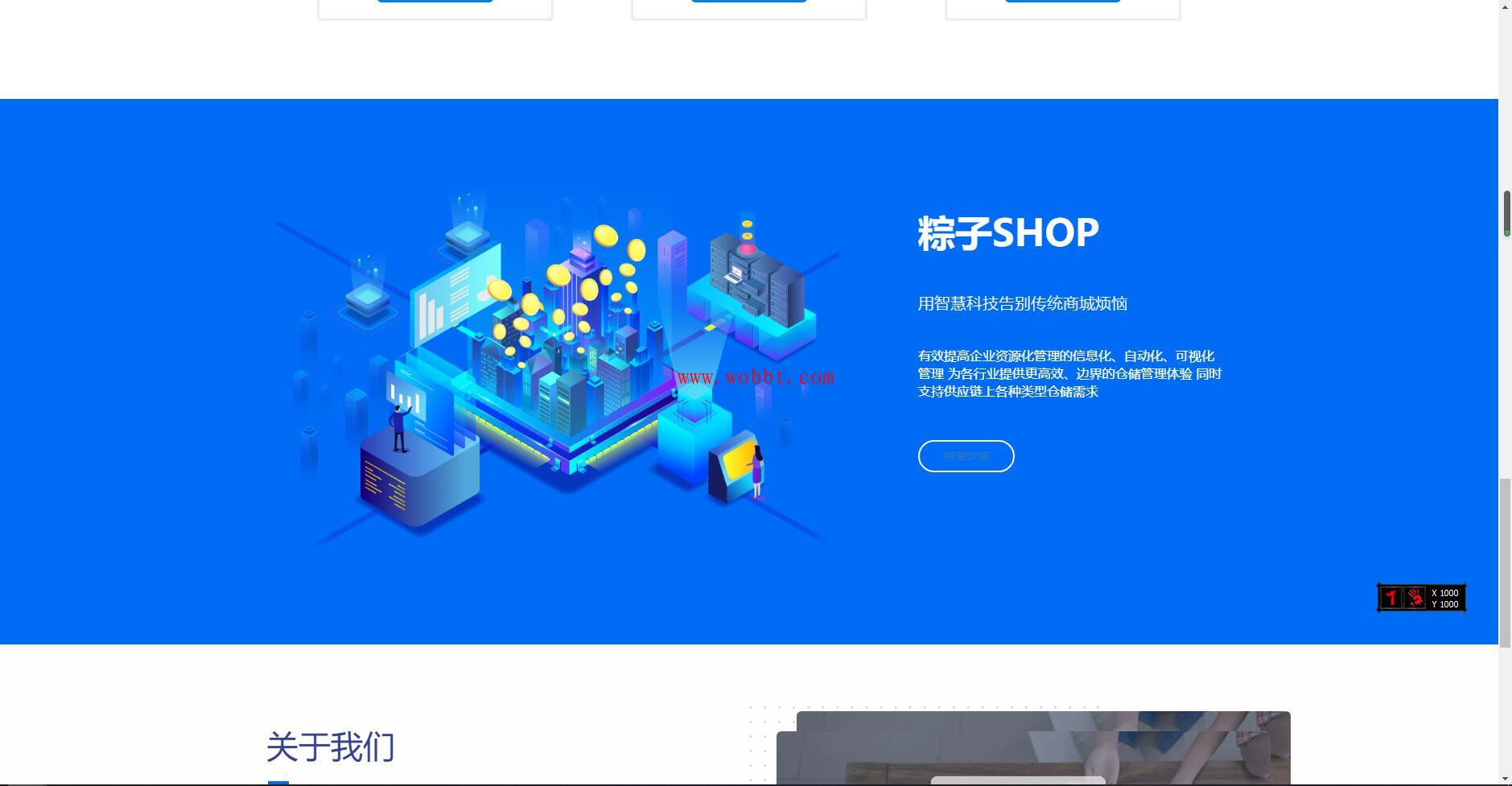最新粽子实物商城纯净官网展示源码 无后台-bt博客-bt资源博客